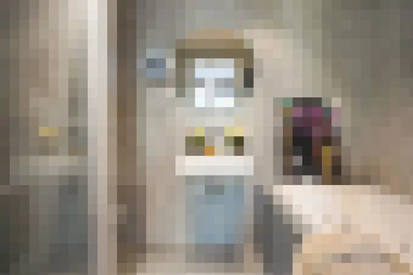 Molenstraat 21 B Den Haag thumbnail 19