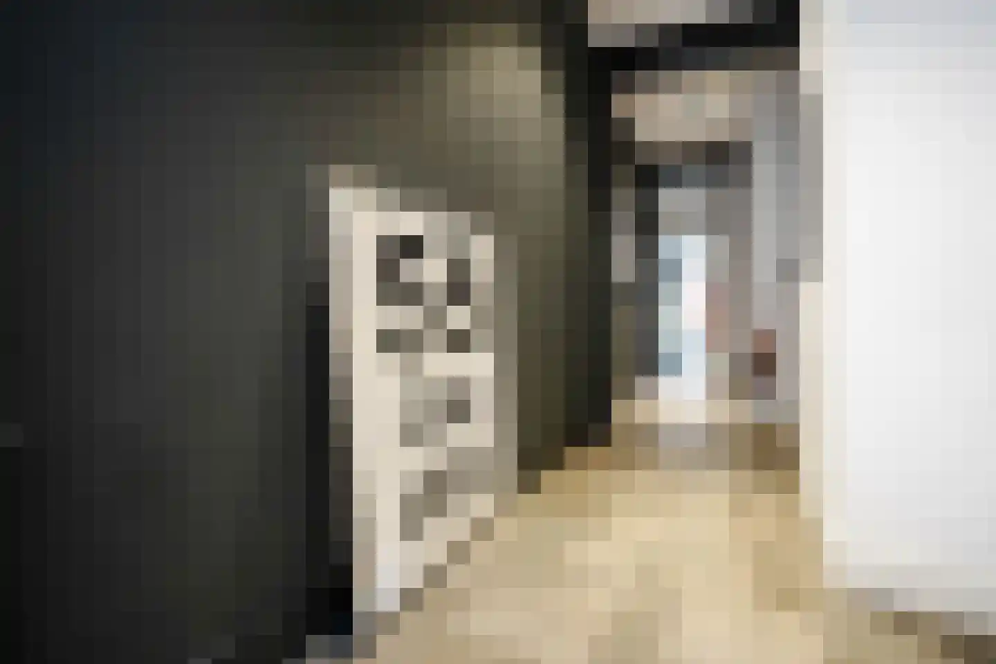 Molenstraat 21 B Den Haag thumbnail 35