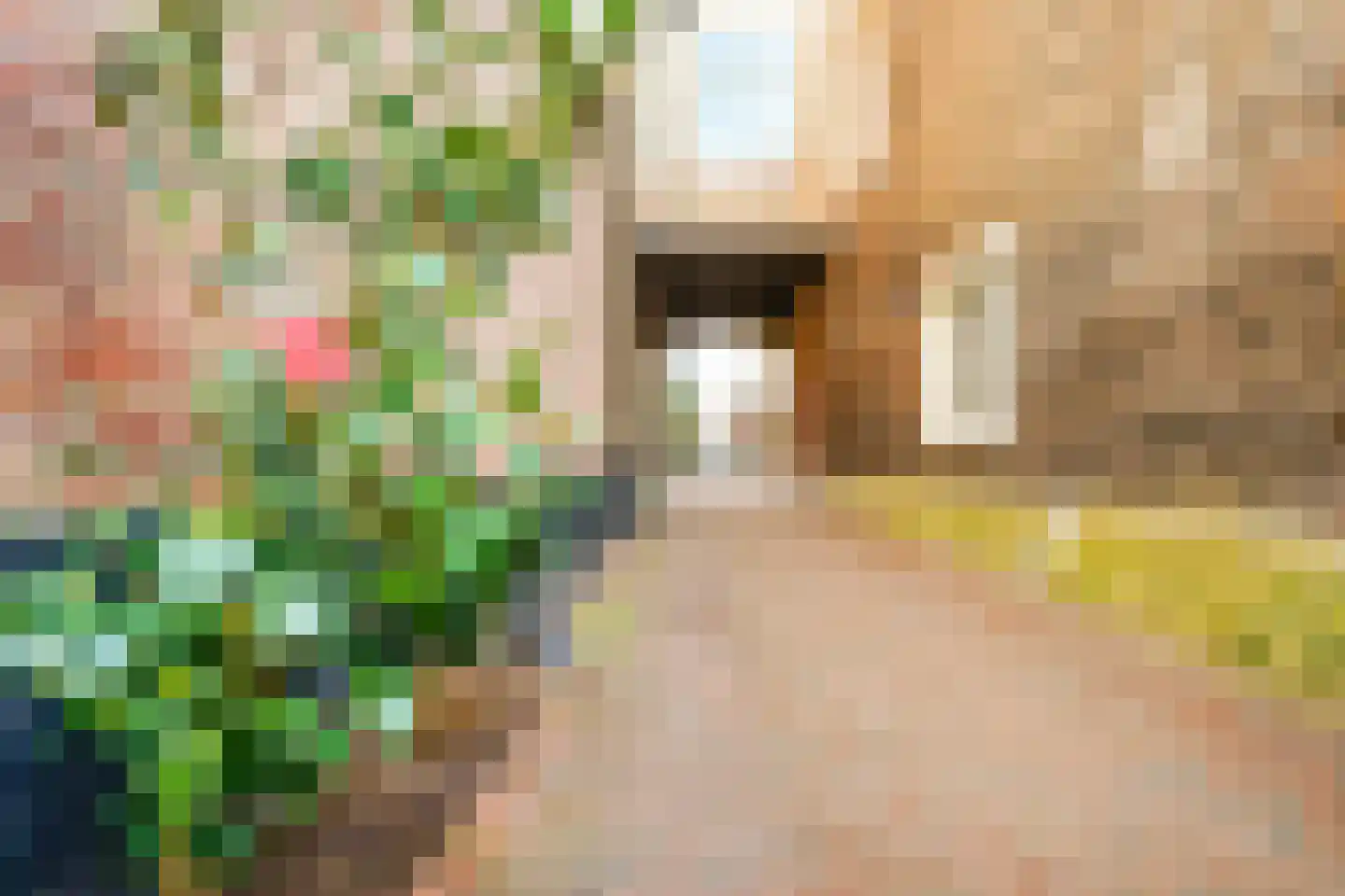 Molenstraat 21 B Den Haag thumbnail 38