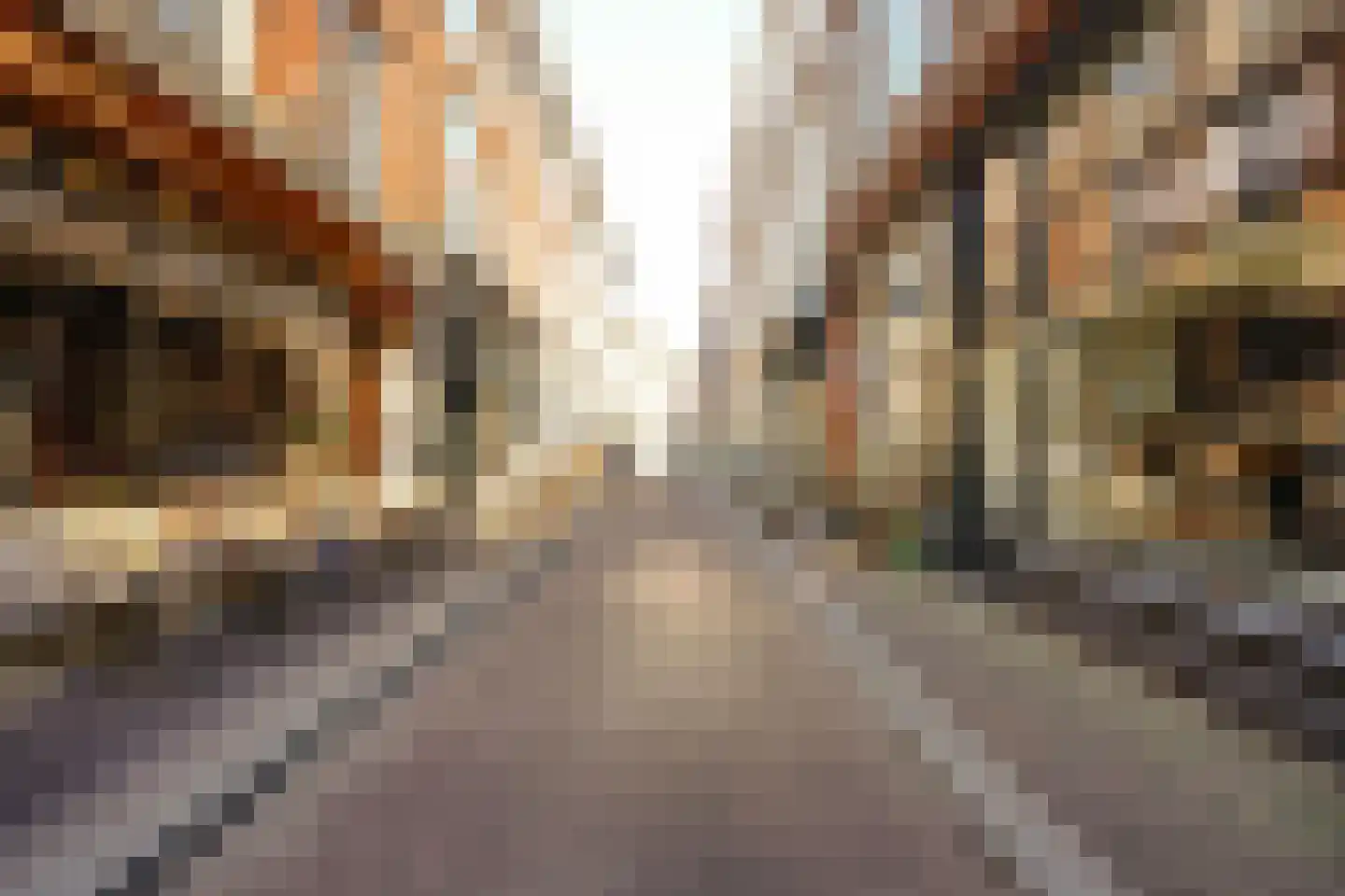 Molenstraat 21 B Den Haag thumbnail 40