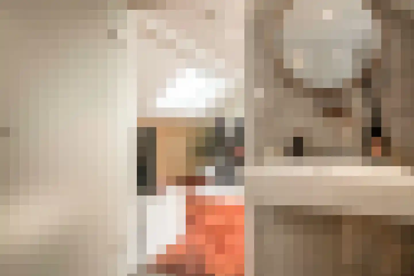 Molenstraat 21 B Den Haag thumbnail 40