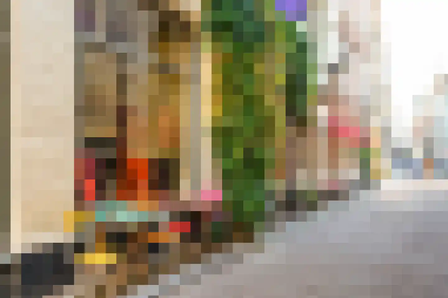 Molenstraat 21 B Den Haag thumbnail 42