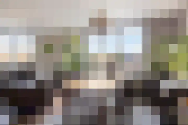 Molenstraat 21 Emmen thumbnail 20
