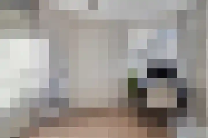 Molenstraat 21 Emmen thumbnail 33