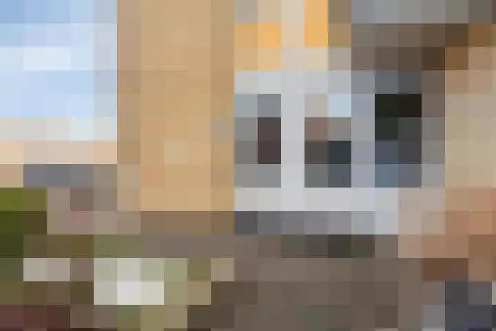 Molenstraat 21 Emmen thumbnail 8