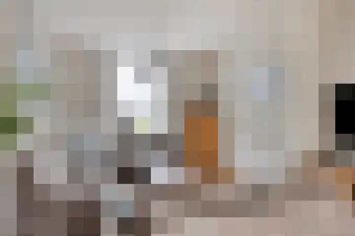 Molenstraat 21 Heesch thumbnail 11