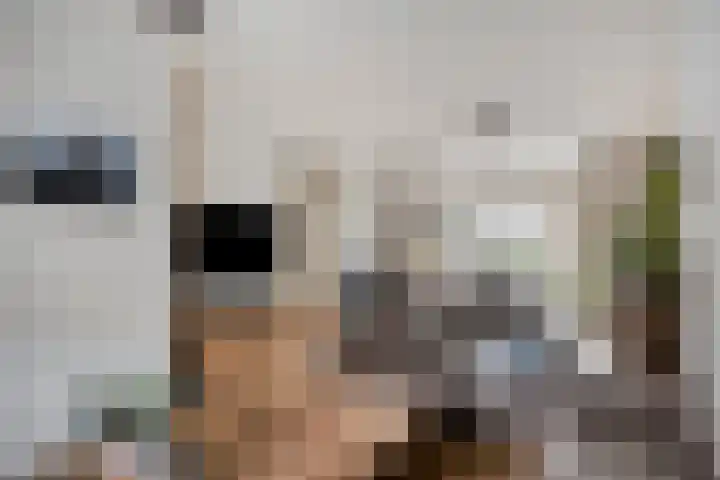 Molenstraat 21 Heesch thumbnail 13