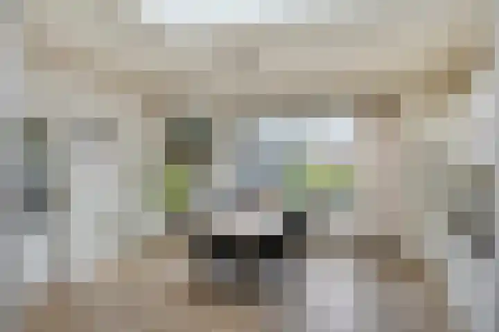 Molenstraat 21 Heesch thumbnail 16