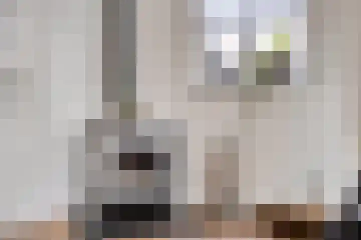Molenstraat 21 Heesch thumbnail 20