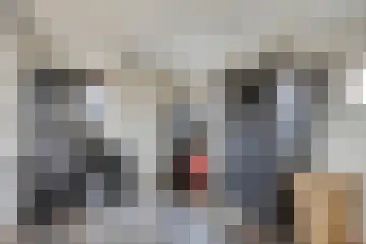 Molenstraat 21 Heesch thumbnail 21