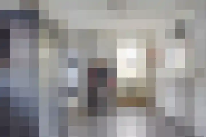 Molenstraat 21 Heesch thumbnail 22