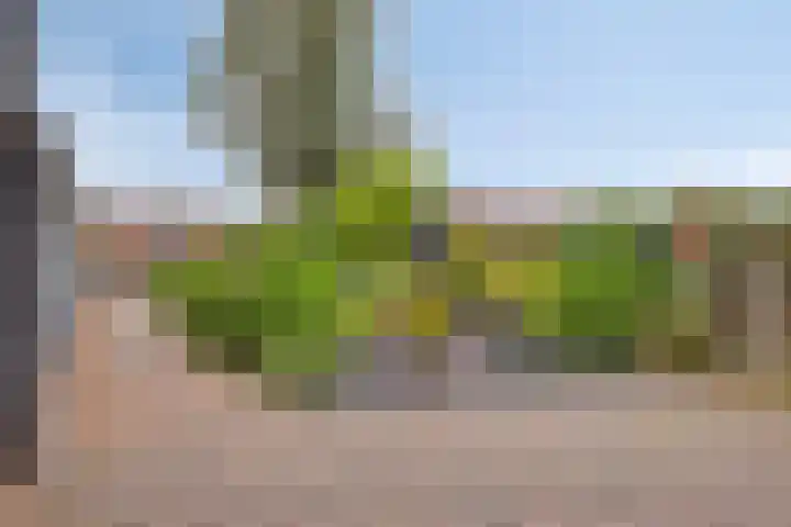 Molenstraat 21 Heesch thumbnail 33