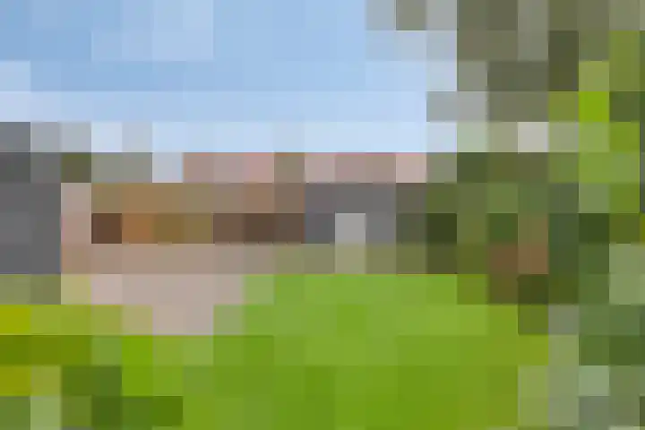 Molenstraat 21 Heesch thumbnail 37