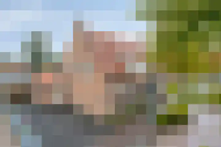 Molenstraat 21 Heesch thumbnail 44