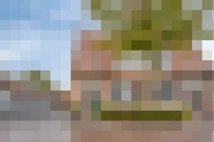 Molenstraat 21 Heesch thumbnail 6