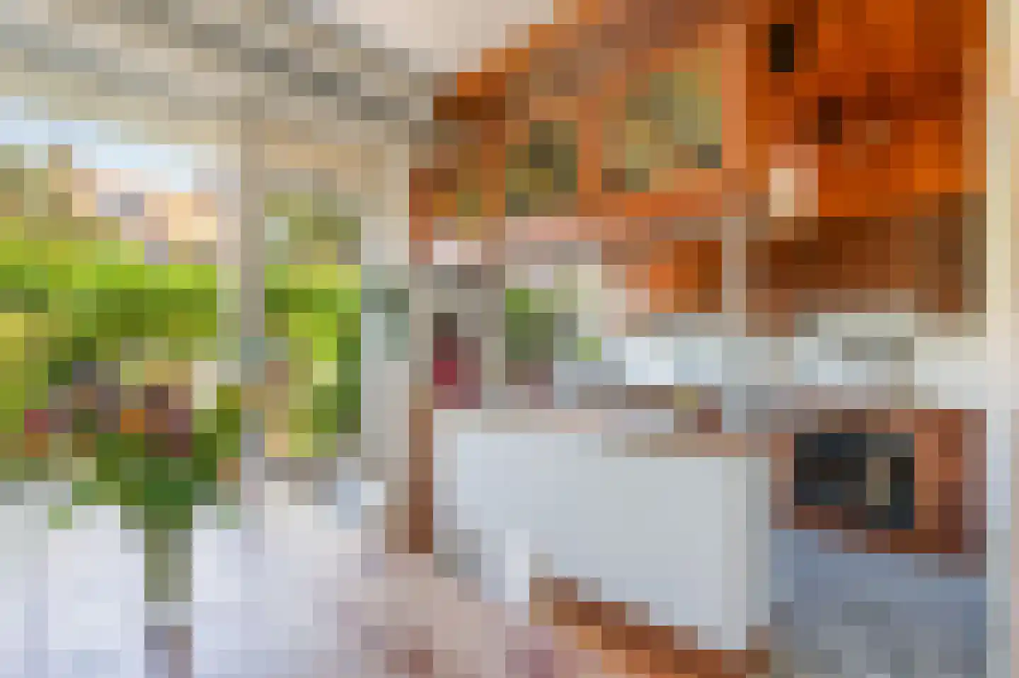 Molenstraat 21 Rotterdam thumbnail 15