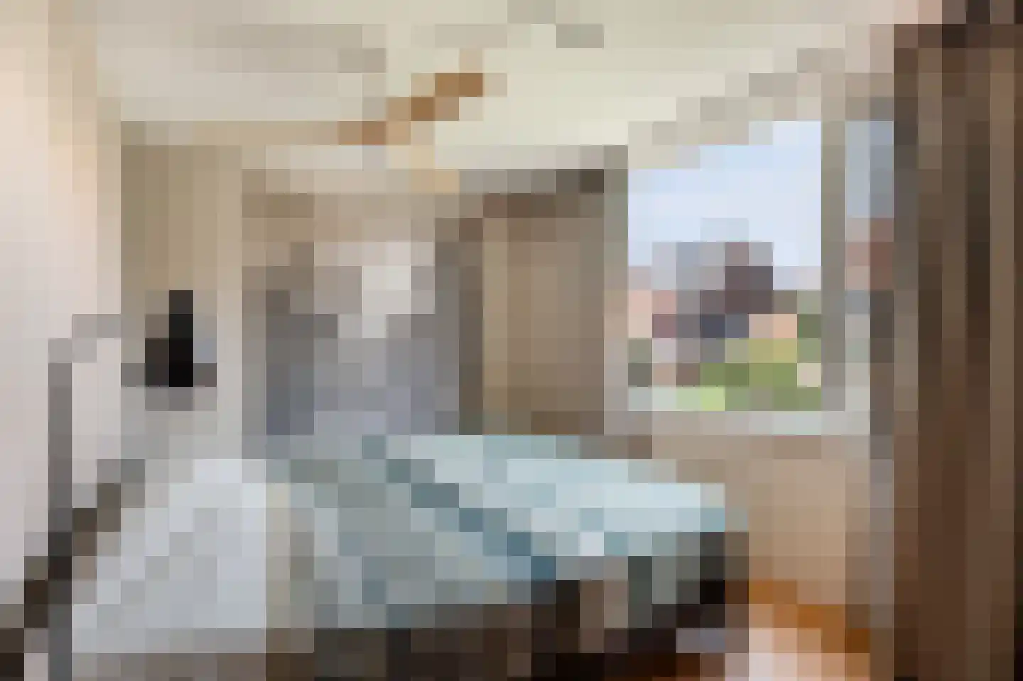 Molenstraat 21 Rotterdam thumbnail 24