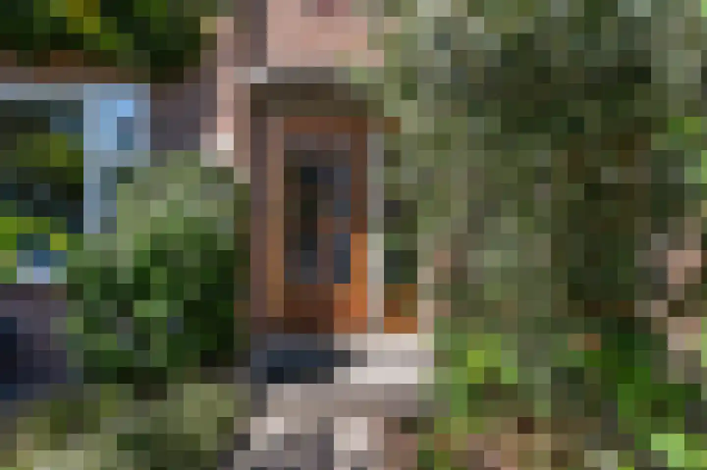 Molenstraat 21 Rotterdam thumbnail 4