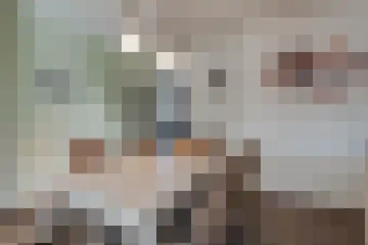Molenstraat 21 Swolgen thumbnail 15
