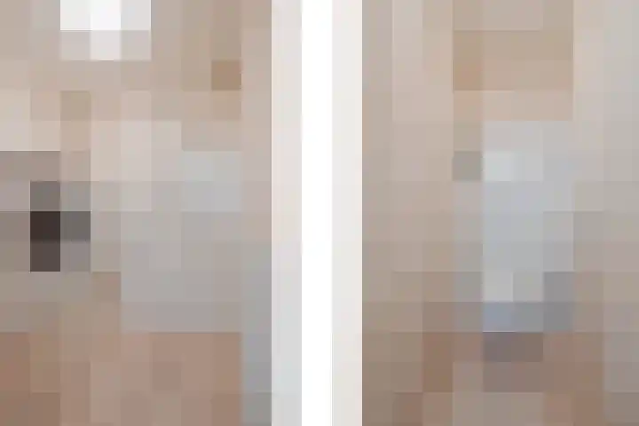Molenstraat 21 Swolgen thumbnail 18