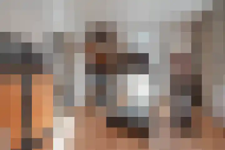 Molenstraat 21 Swolgen thumbnail 21