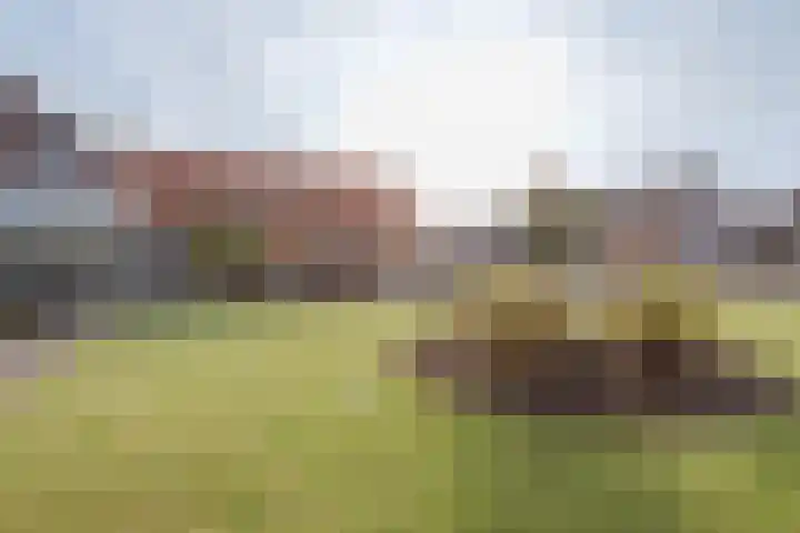 Molenstraat 21 Swolgen thumbnail 45