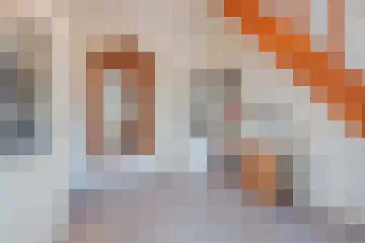 Molenstraat 21 Swolgen thumbnail 6