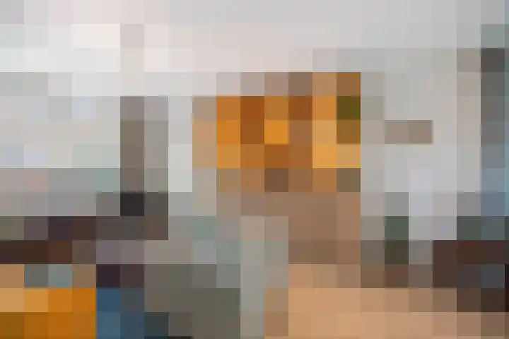 Molenstraat 21 Wijhe thumbnail 12