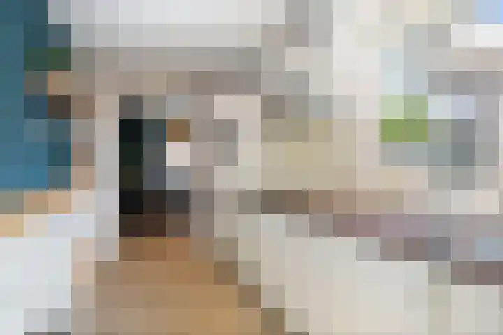 Molenstraat 21 Wijhe thumbnail 17