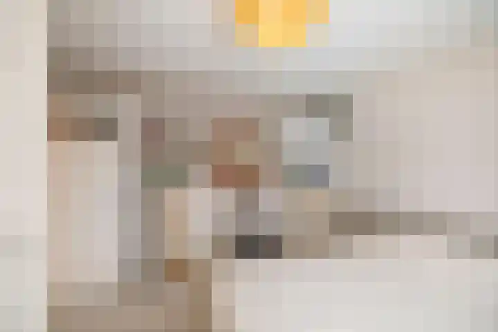 Molenstraat 21 Wijhe thumbnail 25