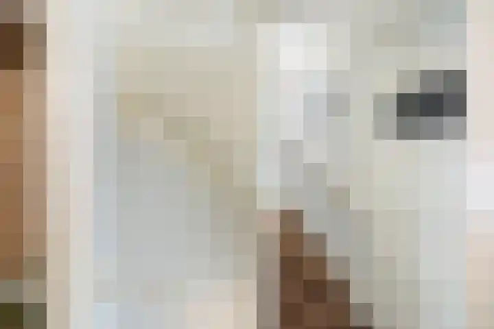 Molenstraat 21 Wijhe thumbnail 28