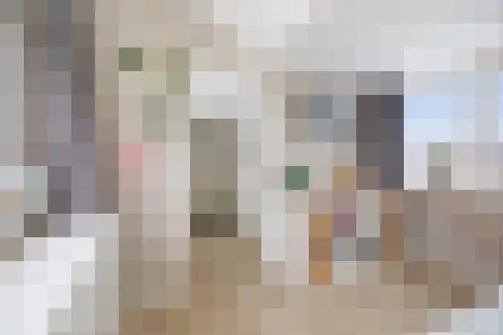 Molenstraat 21 Wijhe thumbnail 30