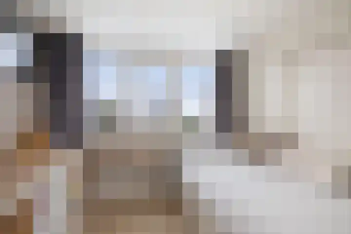 Molenstraat 21 Wijhe thumbnail 31
