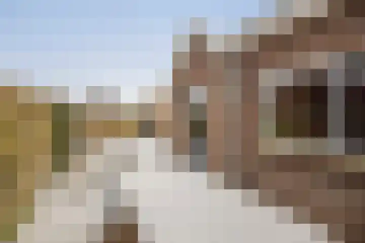 Molenstraat 21 Wijhe thumbnail 34