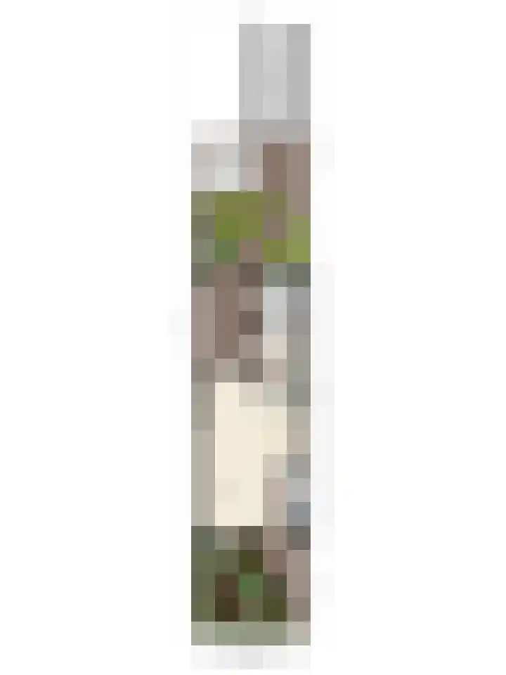 Molenstraat 21 Wijhe thumbnail 51