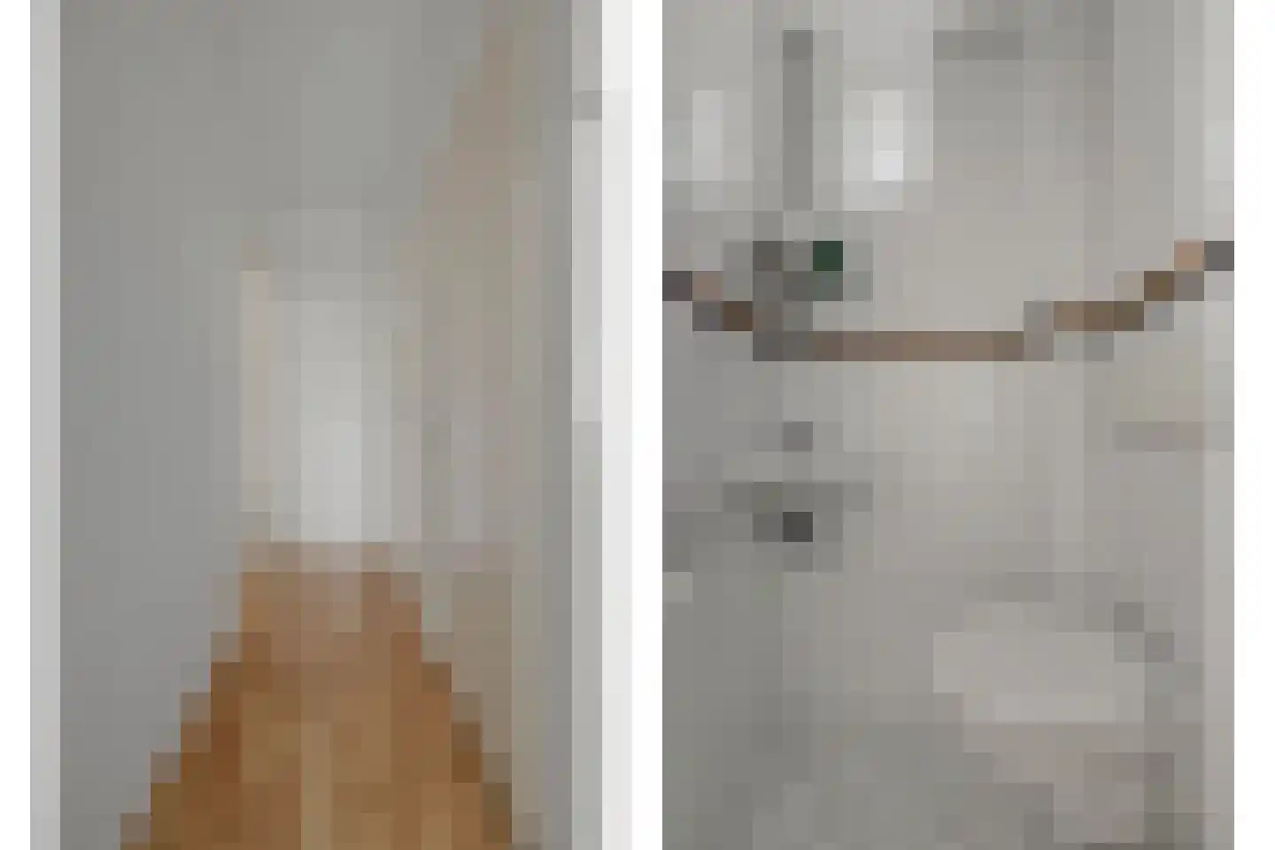 Molenstraat 210 Monster thumbnail 10