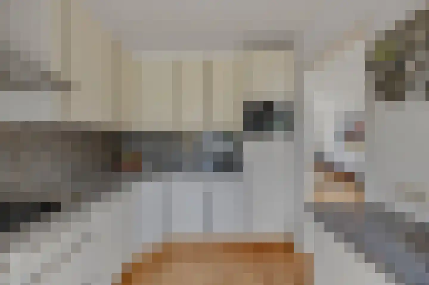 Molenstraat 210 Monster thumbnail 16