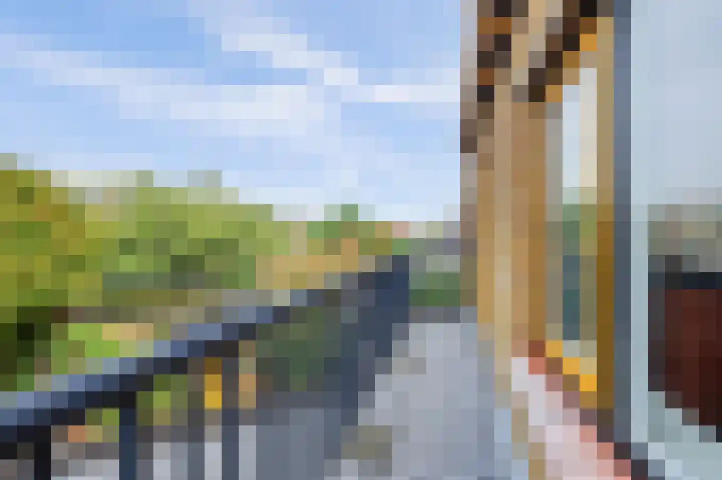 Molenstraat 210 Monster thumbnail 26