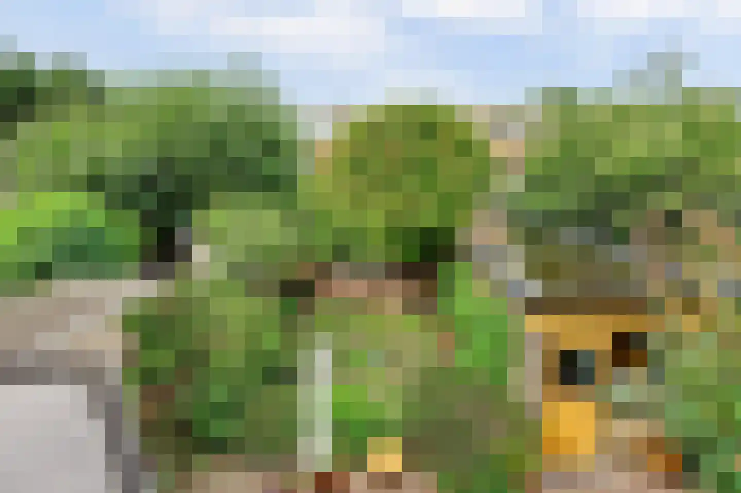 Molenstraat 210 Monster thumbnail 41