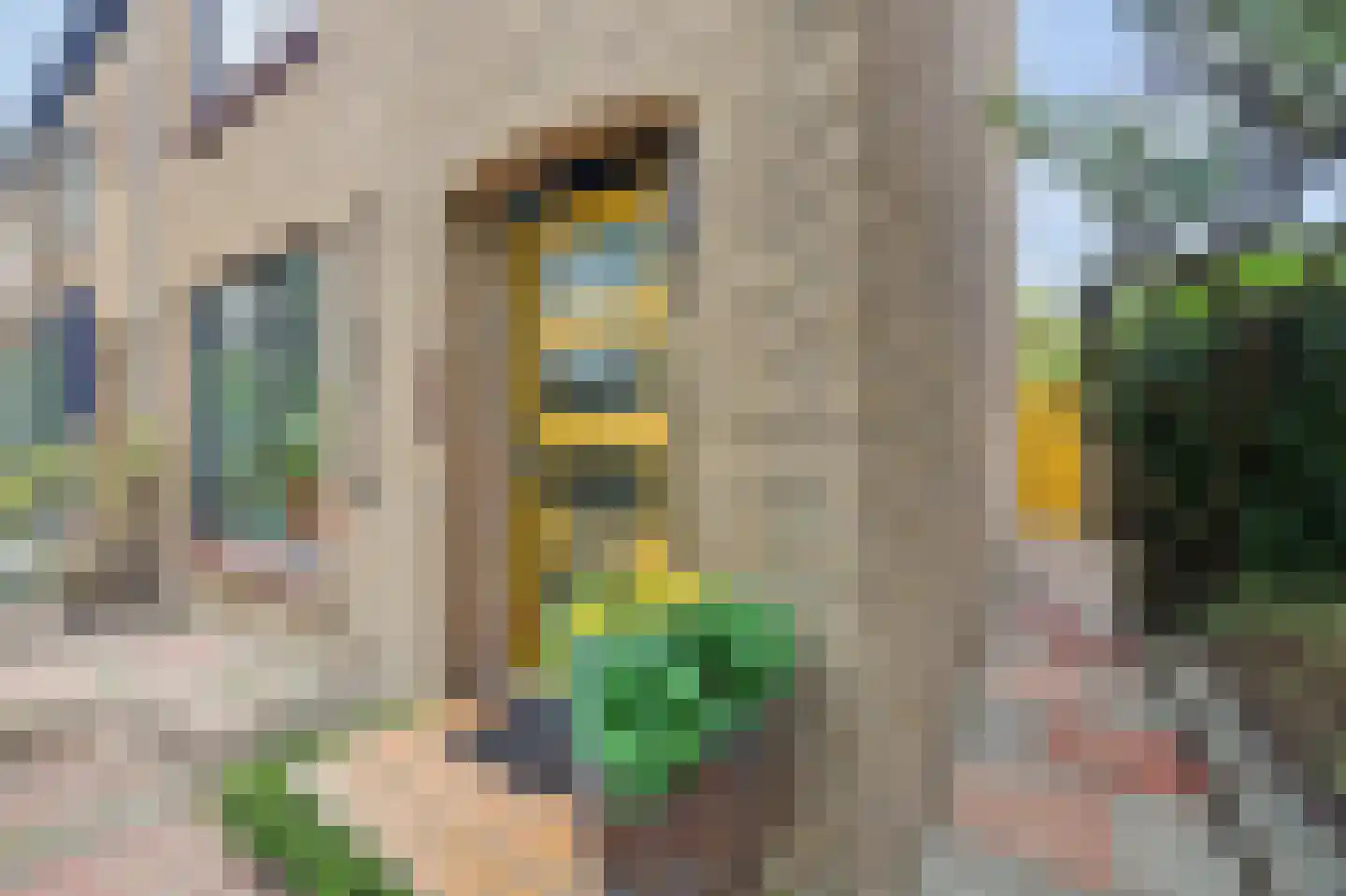 Molenstraat 210 Monster thumbnail 8