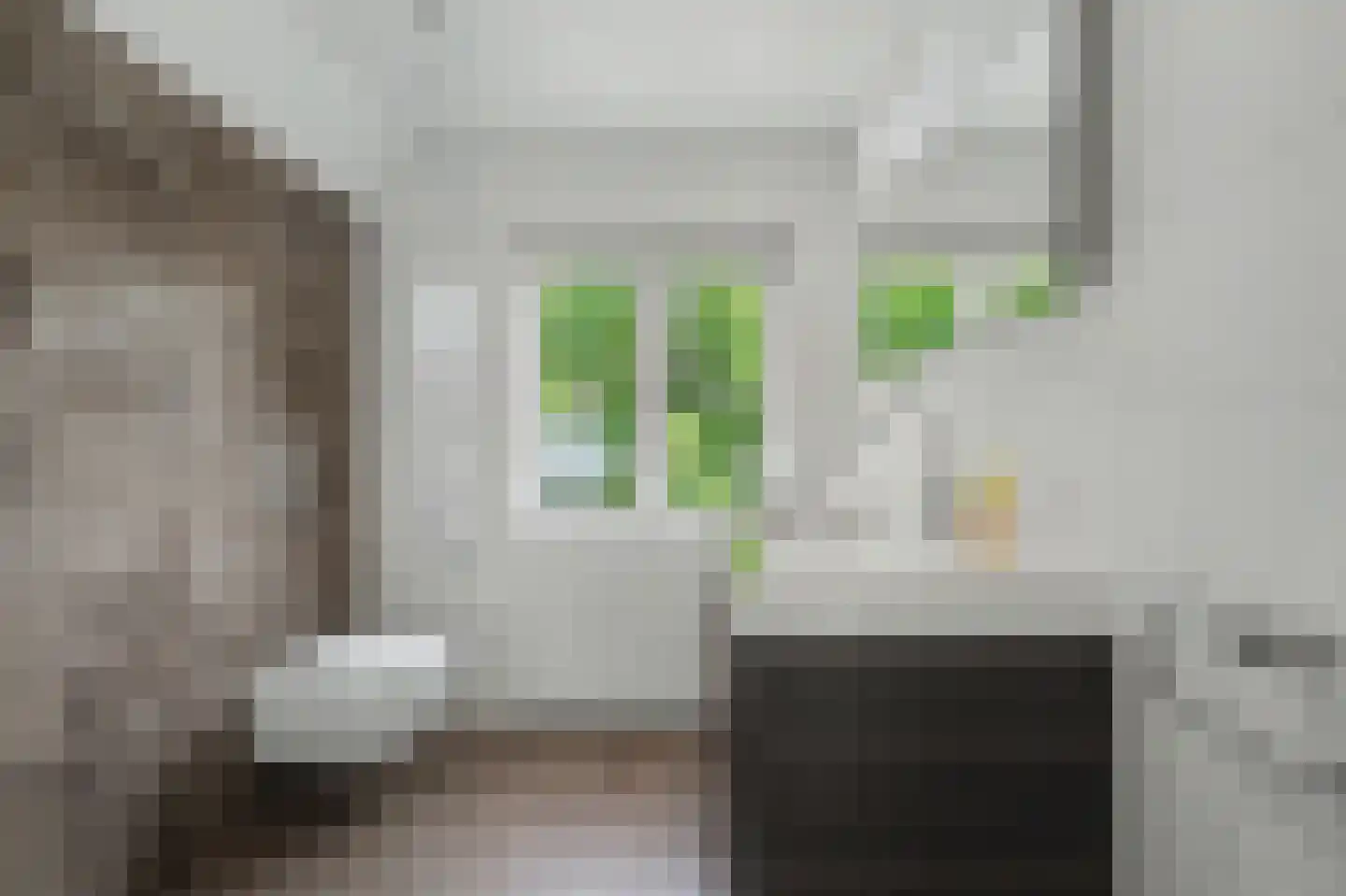 Molenstraat 212 Monster thumbnail 27