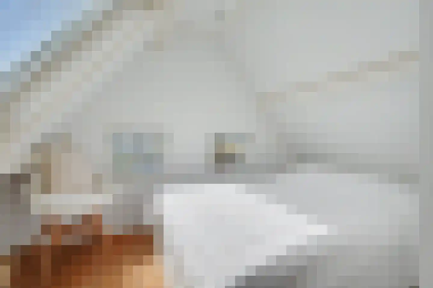 Molenstraat 212 Monster thumbnail 30