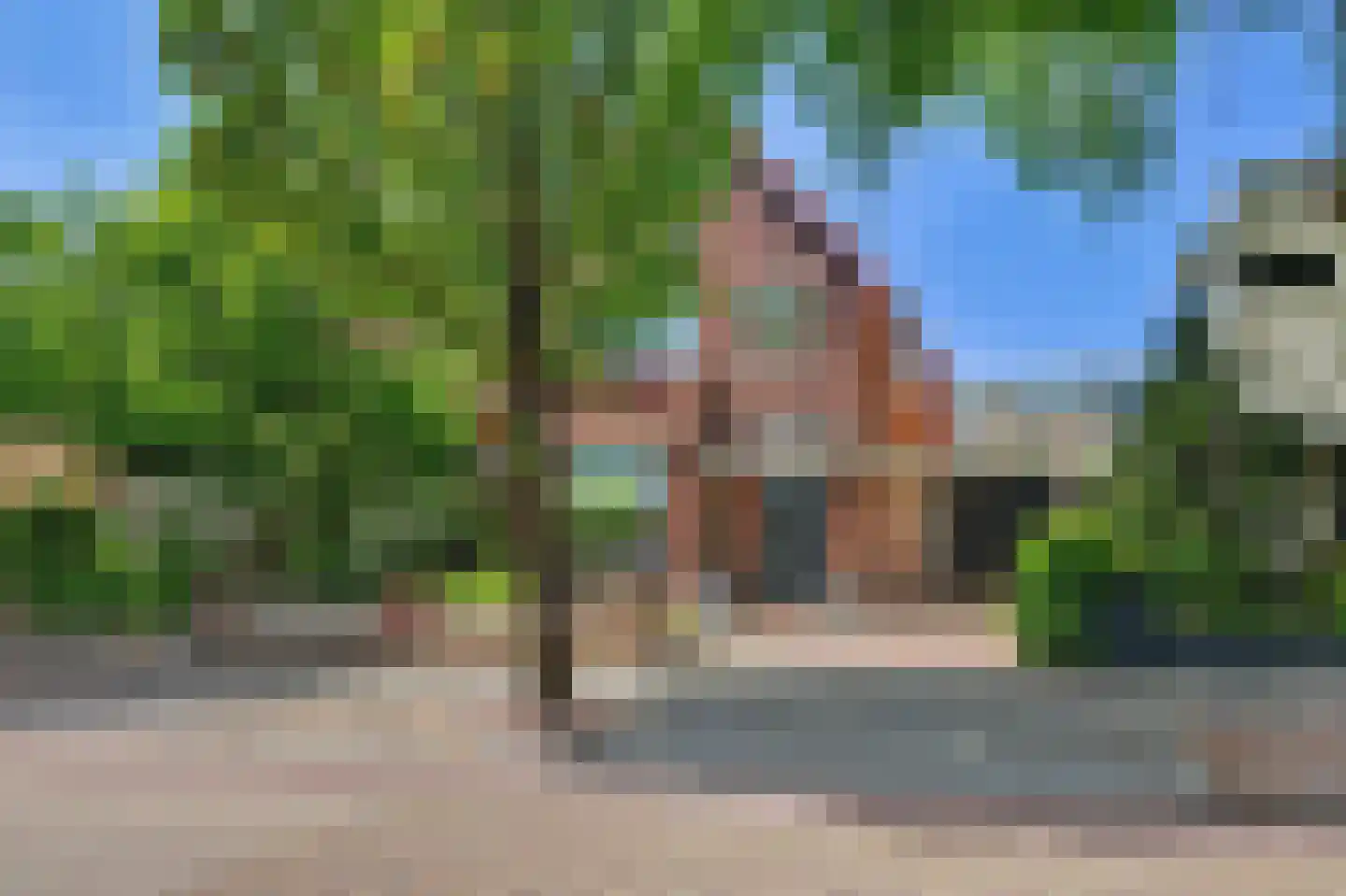 Molenstraat 212 Monster thumbnail 45
