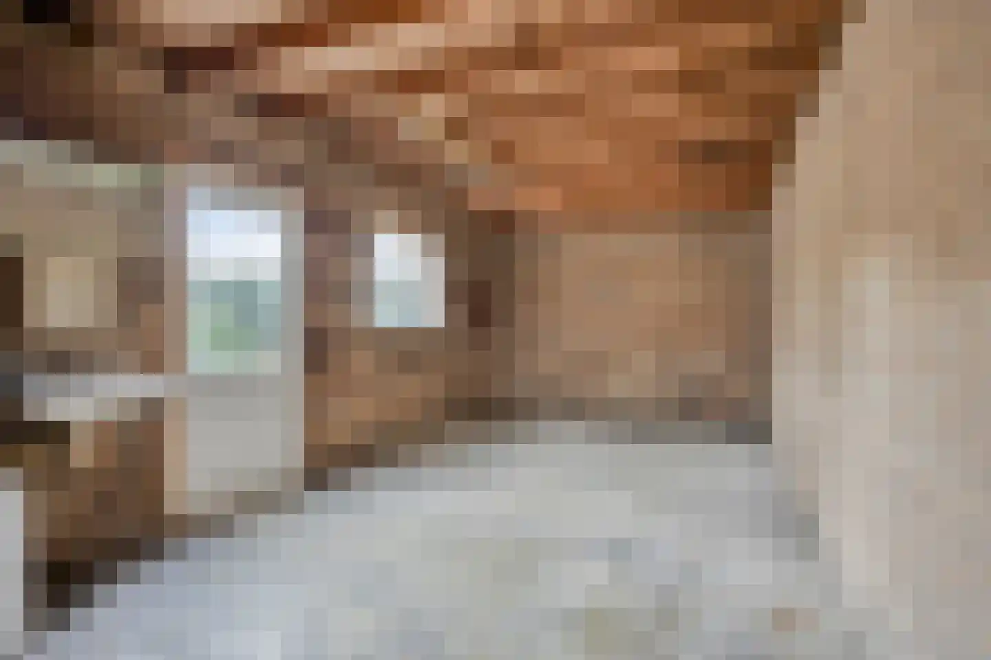Molenstraat 22 Hapert thumbnail 31