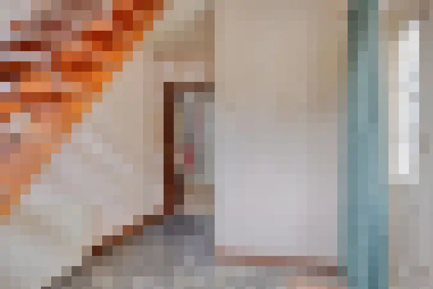 Molenstraat 22 Hapert thumbnail 5