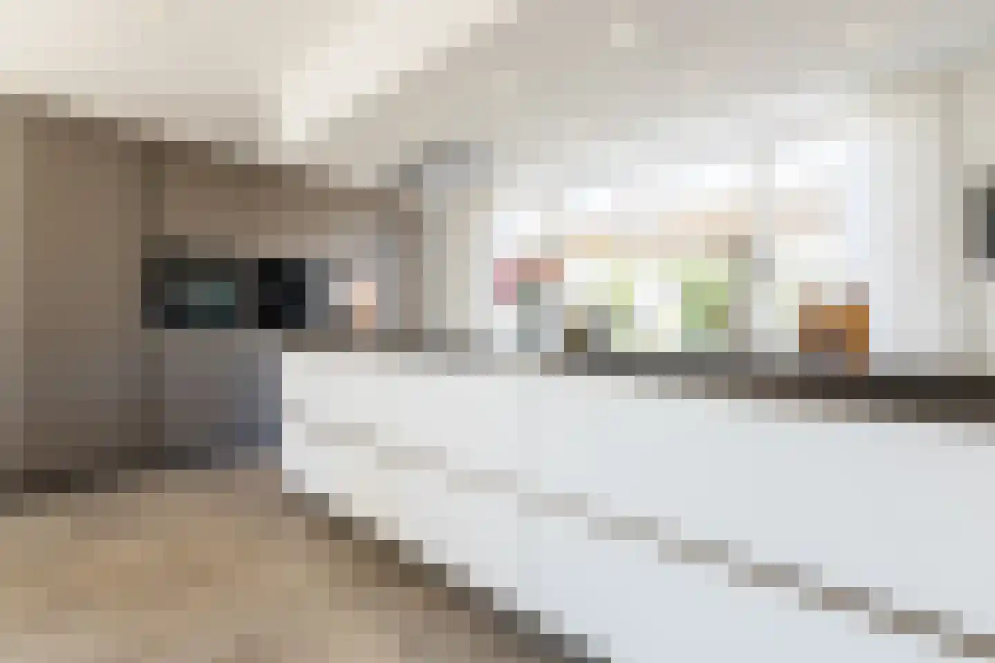 Molenstraat 22 Hoogerheide thumbnail 18