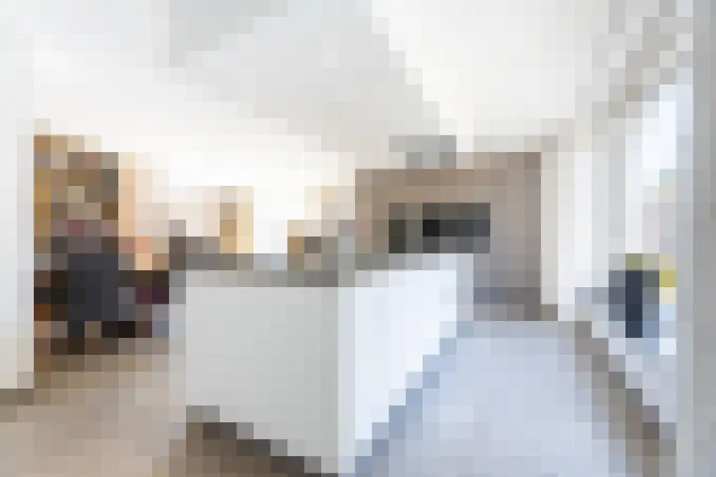 Molenstraat 22 Hoogerheide thumbnail 20
