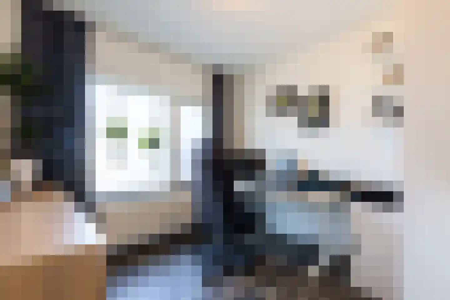 Molenstraat 22 Hoogerheide thumbnail 35