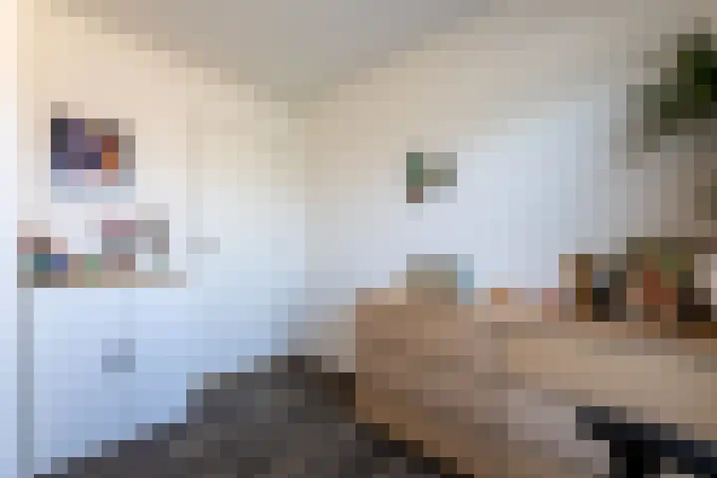 Molenstraat 22 Hoogerheide thumbnail 37