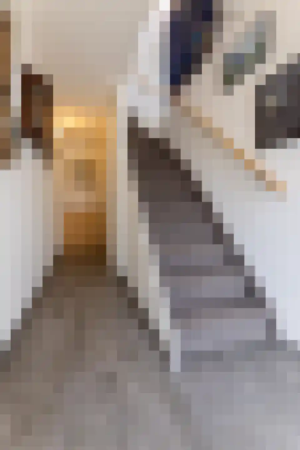 Molenstraat 22 Hoogerheide thumbnail 5